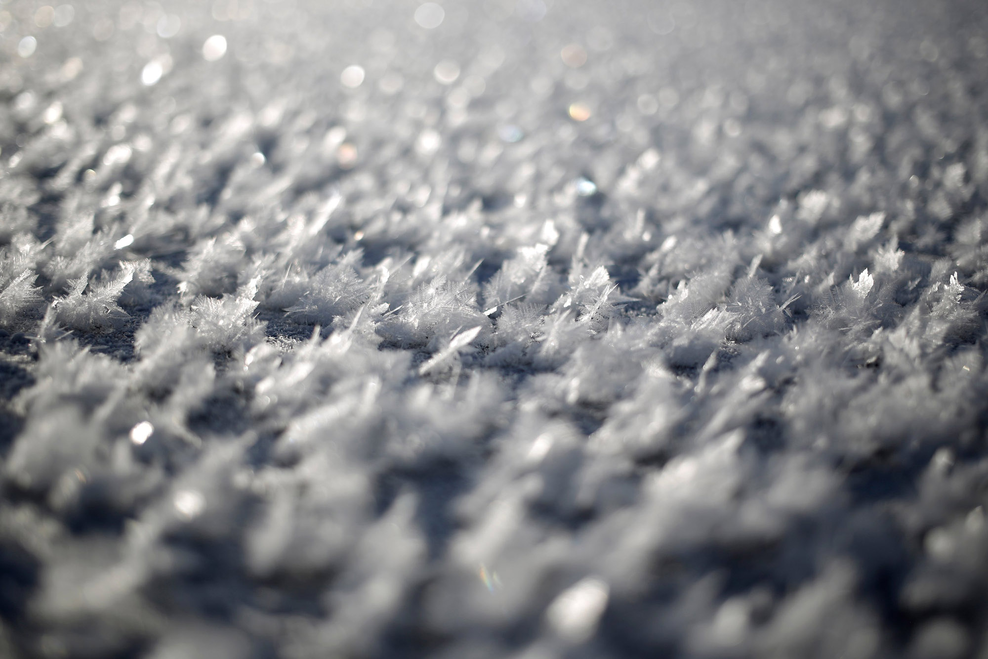 YetiPi Allert Frozen